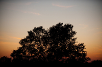 All photos copyright protected 