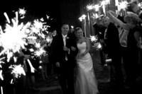 All photos copyright protected 